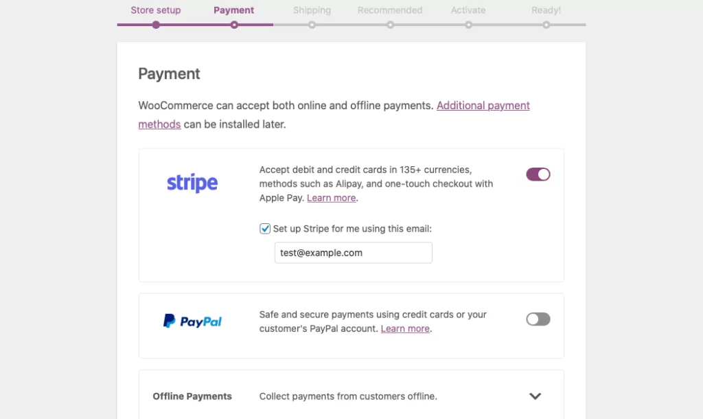 Payment page of the setup wizard