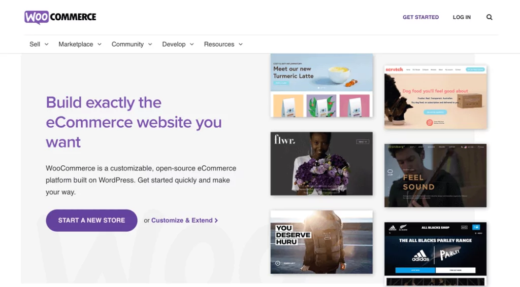 The WooCommerce website.
