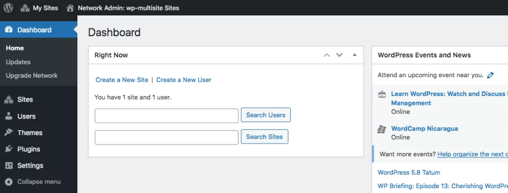 An example of a WordPress Multisite network in the super admin dashboard.