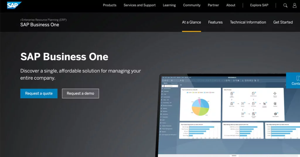 The SAP Business One page.